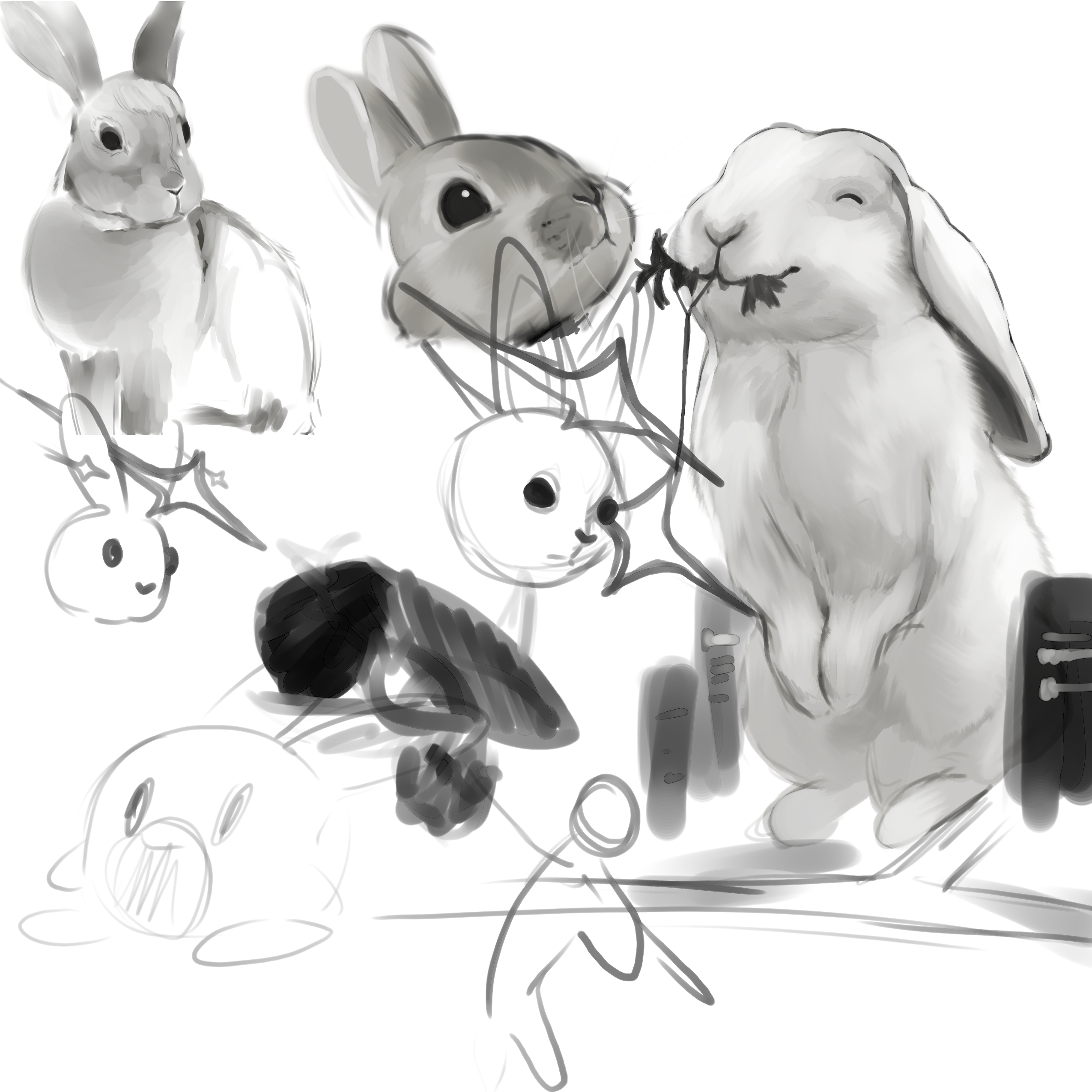 Grayscale rabbit studies, including a lop-eared rabbit, a small sketch bunny, and a carrot doodle